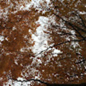 Meet your Posher, Meg